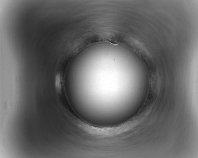 X0000098080038200804110951