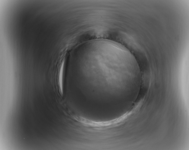 X0000098080039200804110951