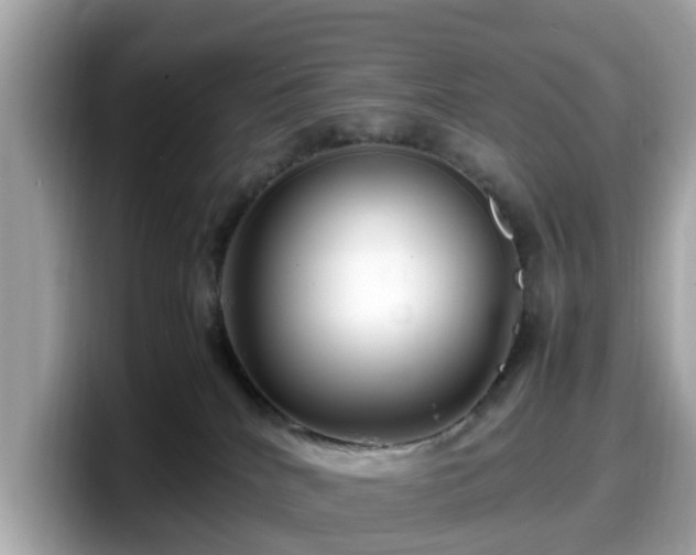 X0000098080040200804110951