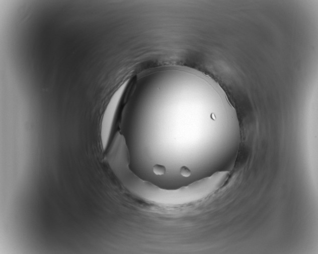 X0000098080041200804110951