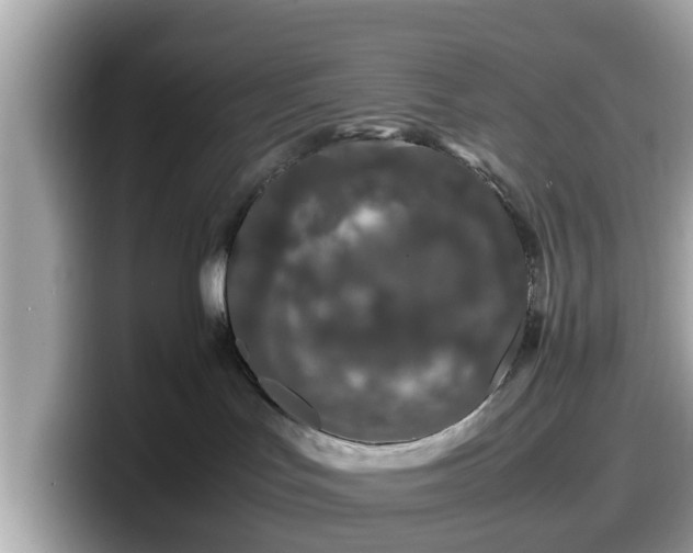 X0000098080047200804110951