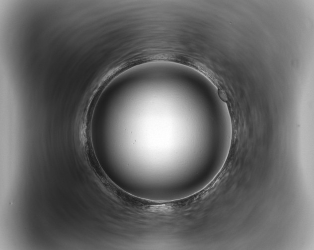 X0000098080050200804110950