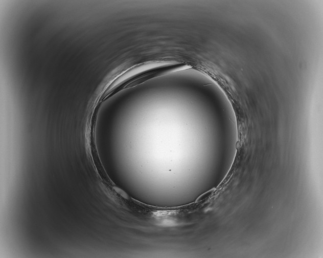X0000098080051200804110950