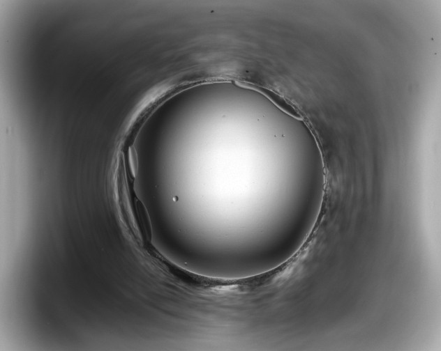 X0000098080054200804110951