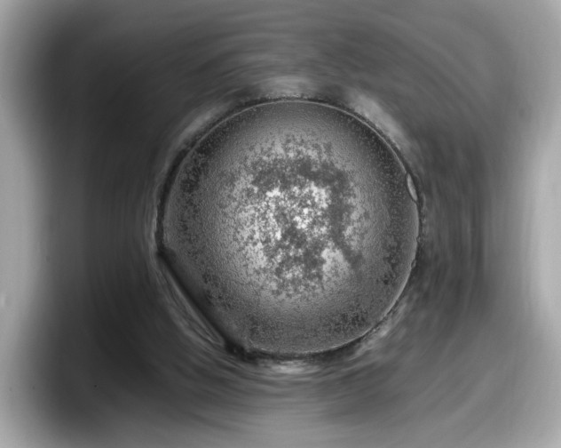 X0000098080058200804110951