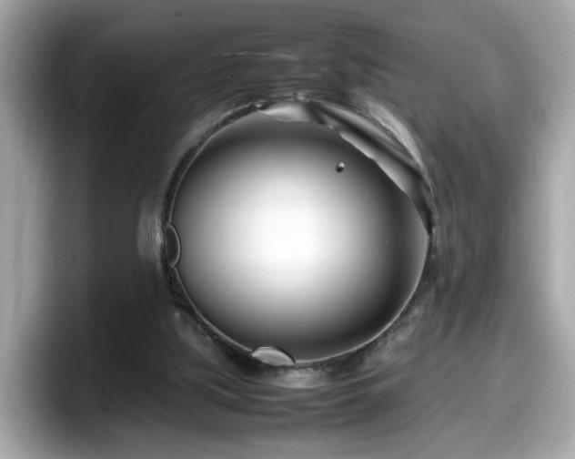 X0000098080059200804110951