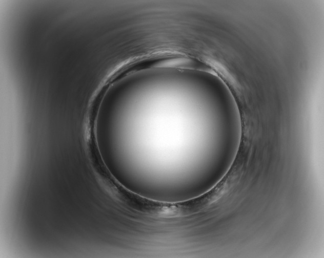 X0000098080060200804110951