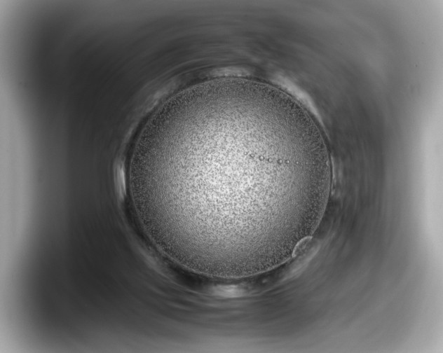 X0000098080061200804110951