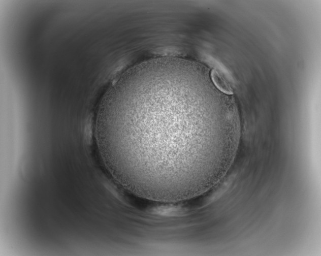 X0000098080065200804110951