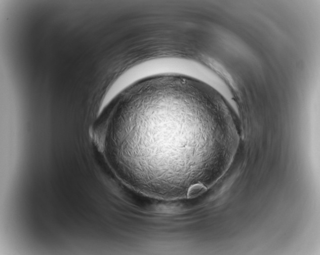 X0000098080069200804110951