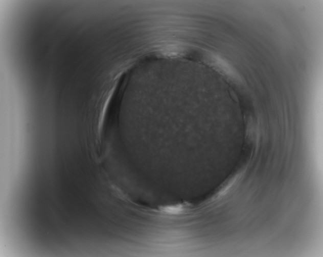 X0000098080076200804110951