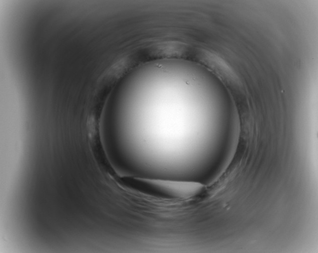 X0000098080077200804110951