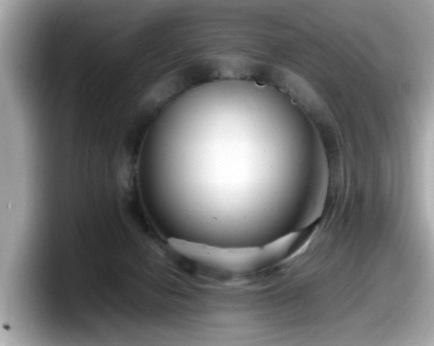 X0000098080078200804110951