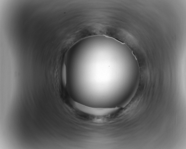 X0000098080088200804110951