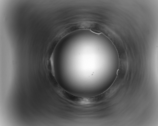 X0000098080091200804110951