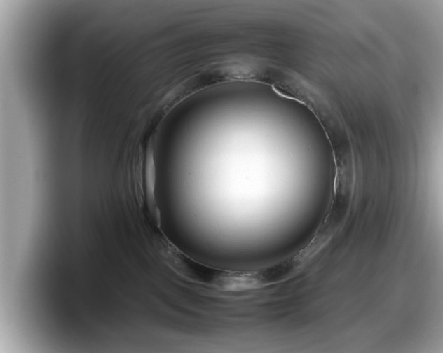 X0000098080093200804110951