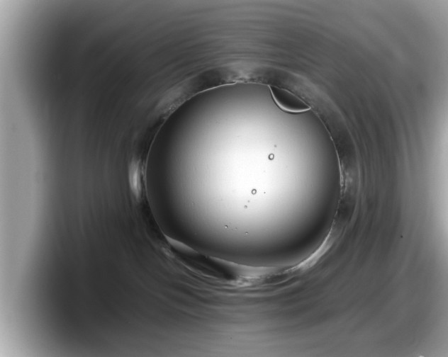 X0000098080094200804110951