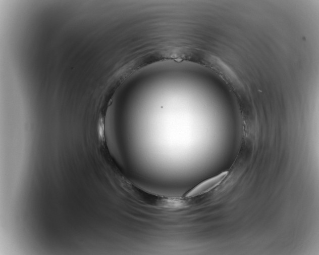 X0000098080095200804110951