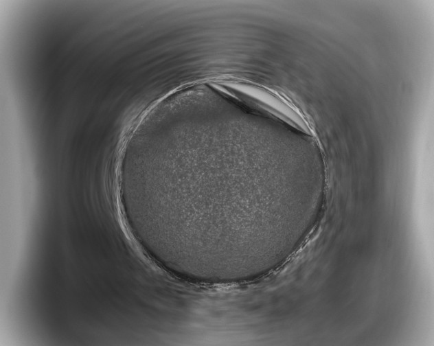 X0000098080097200804110950