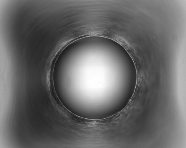 X0000098080098200804110950