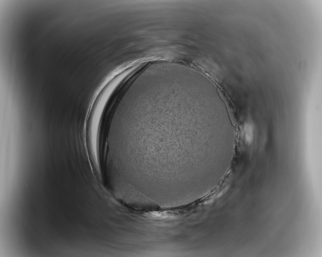 X0000098080100200804110950