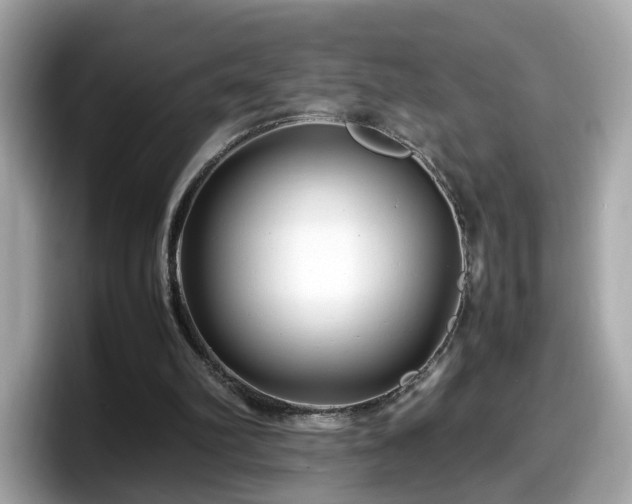X0000098080102200804110950