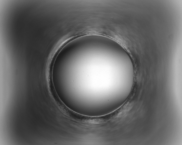 X0000098080103200804110950