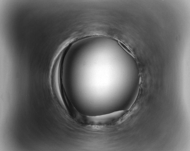 X0000098080104200804110950