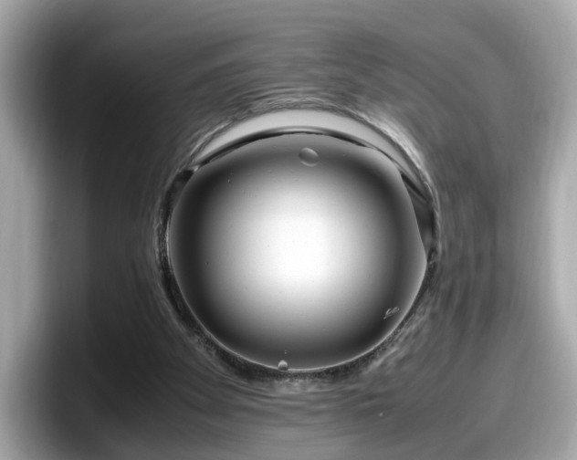X0000098080105200804110950
