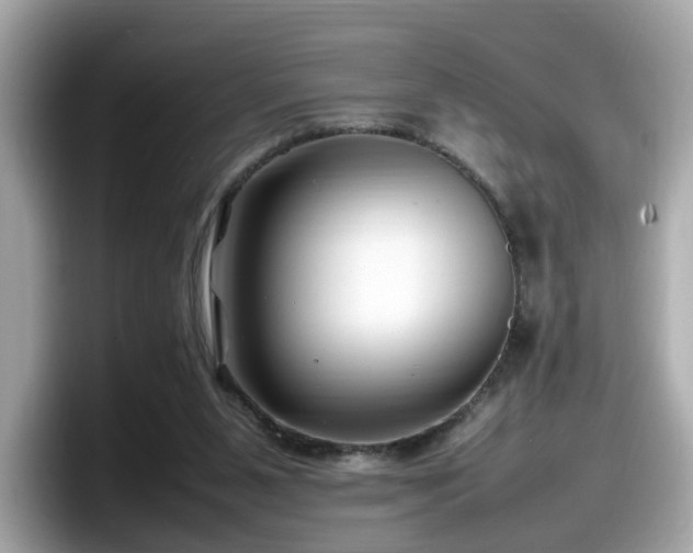 X0000098080111200804110950