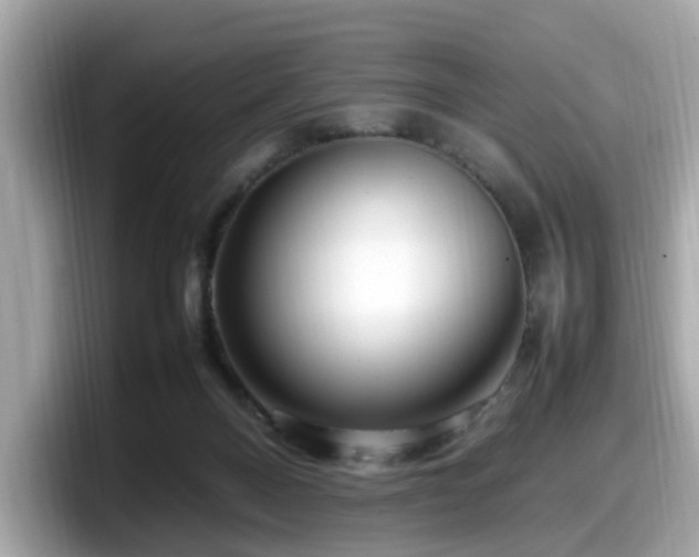 X0000098080120200804110950