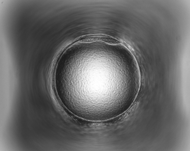 X0000098080145200804110949