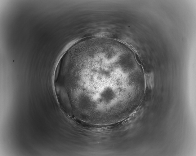 X0000098080147200804110949
