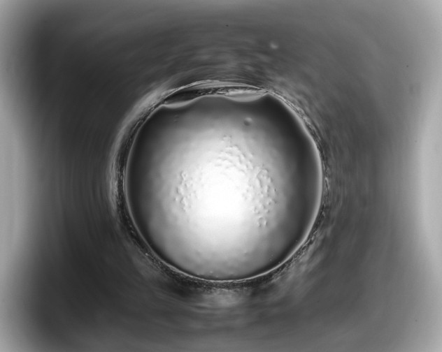 X0000098080149200804110949