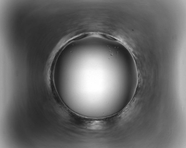 X0000098080151200804110949