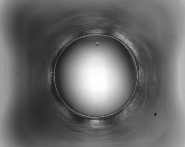 X0000098080153200804110949