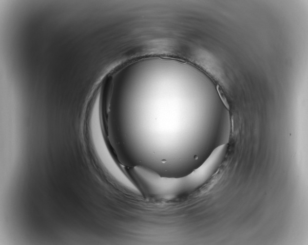 X0000098080156200804110949