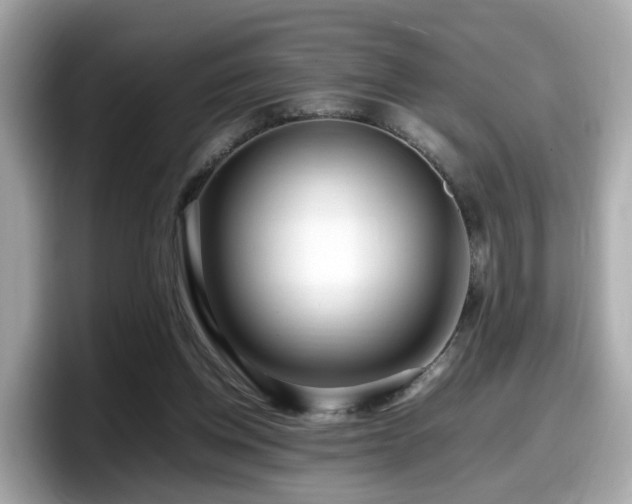 X0000098080158200804110949
