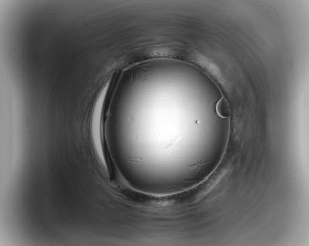 X0000098080161200804110949
