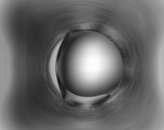 X0000098080164200804110949