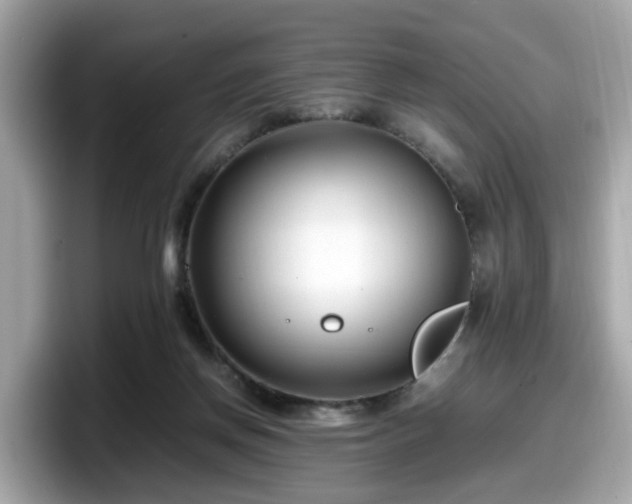 X0000098080166200804110949