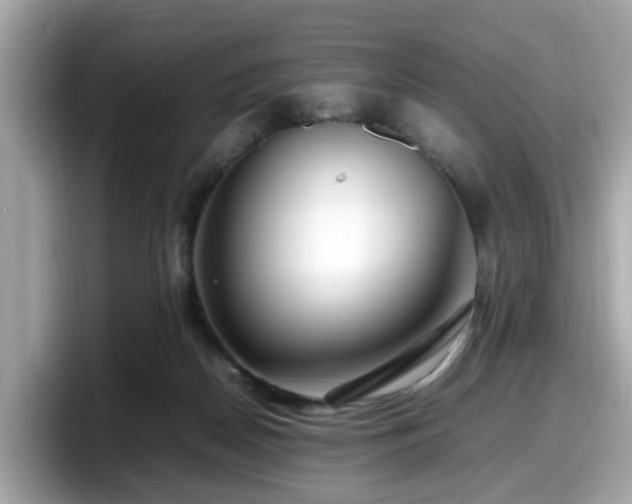 X0000098080170200804110950