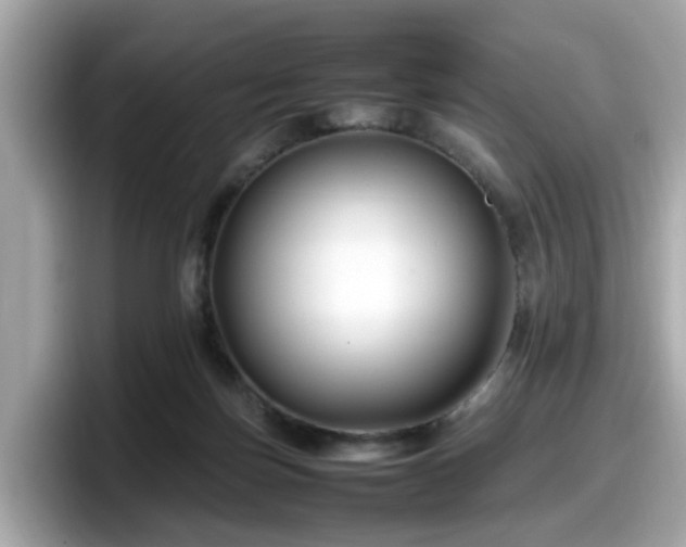 X0000098080171200804110950
