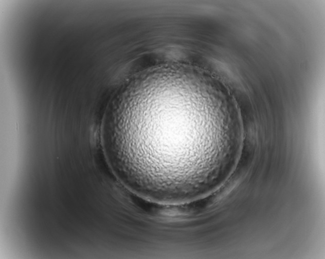 X0000098080177200804110950