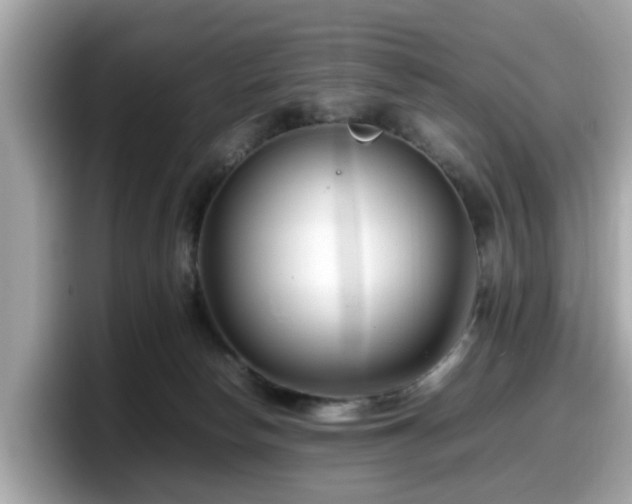 X0000098080178200804110950