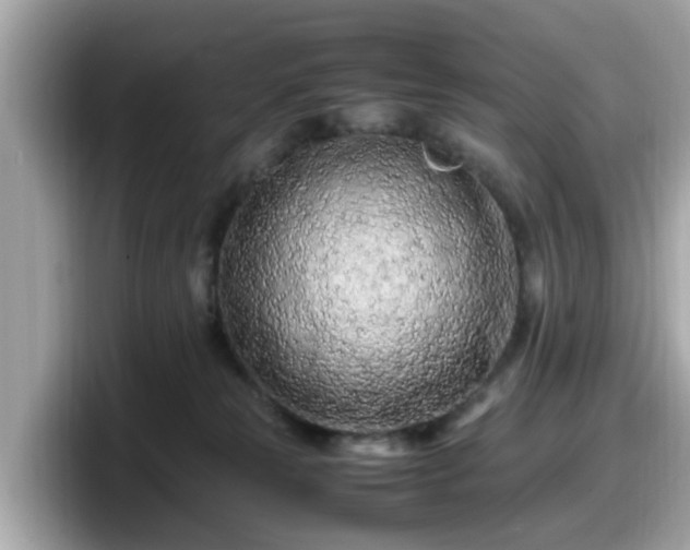 X0000098080181200804110950
