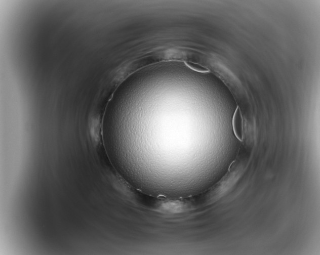 X0000098080189200804110950