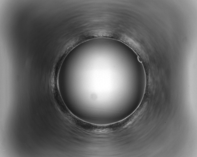X0000098080202200804110949