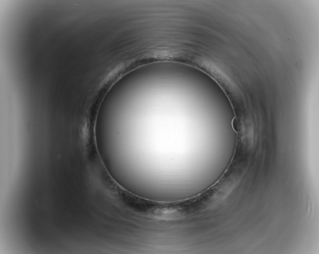 X0000098080208200804110949