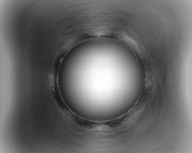 X0000098080210200804110949